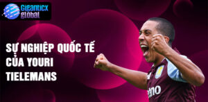 Sự nghiệp quốc tế của Youri Tielemans