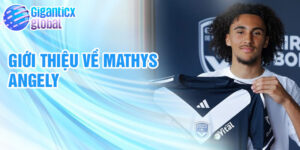 Giới thiệu về mathys angely