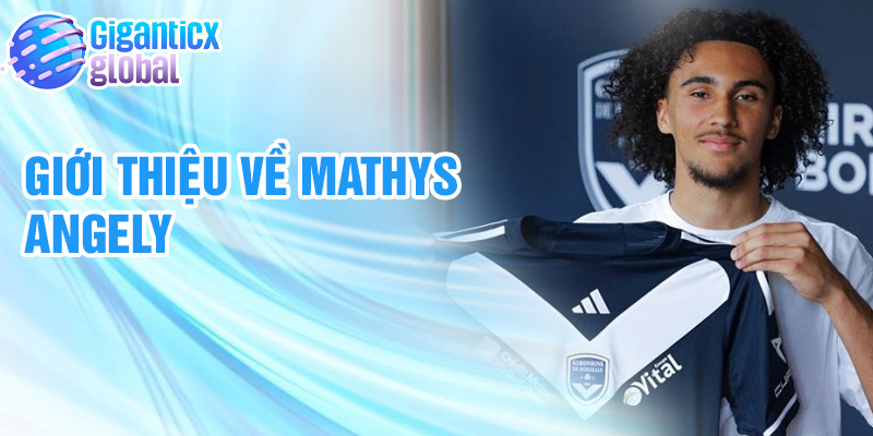 Giới thiệu về Mathys Angely