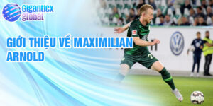 Giới thiệu về maximilian arnold