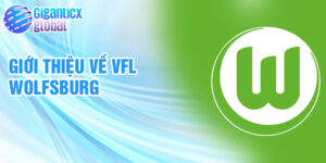 Giới thiệu về vfl wolfsburg