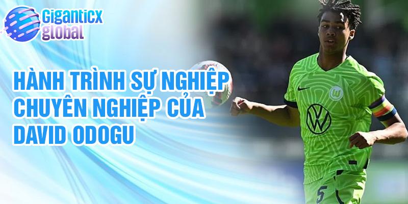 Hành trình sự nghiệp chuyên nghiệp của David Odogu